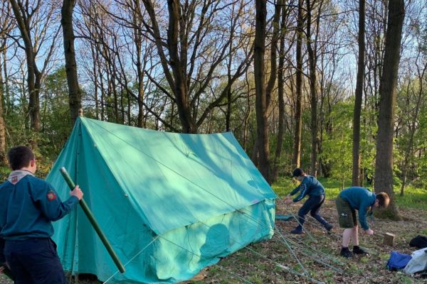 A group of Scouts are getting ready to camp. They are putting the tent up in a woodland area on a bright sunny day.