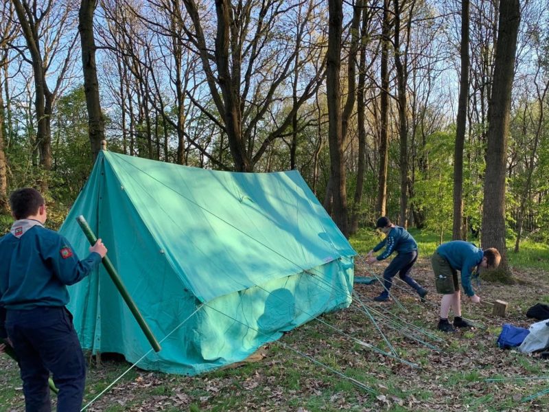 A group of Scouts are getting ready to camp. They are putting the tent up in a woodland area on a bright sunny day.